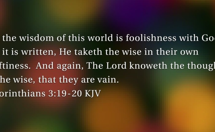 What is Love? : Part&nbsp;VI