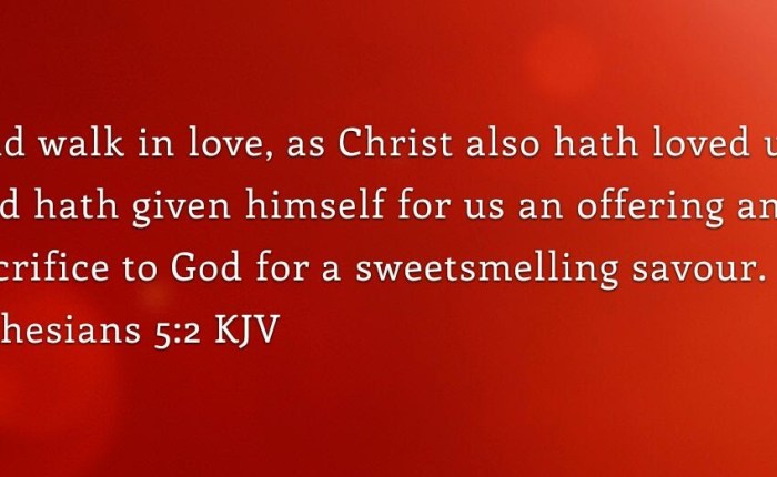 What is Love? : Part&nbsp;II