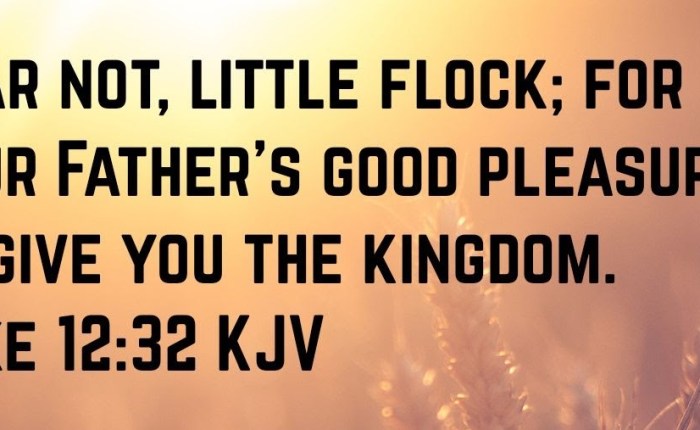 What is Love? : Part&nbsp;III