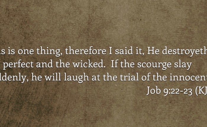 What is Love? : Part&nbsp;XI