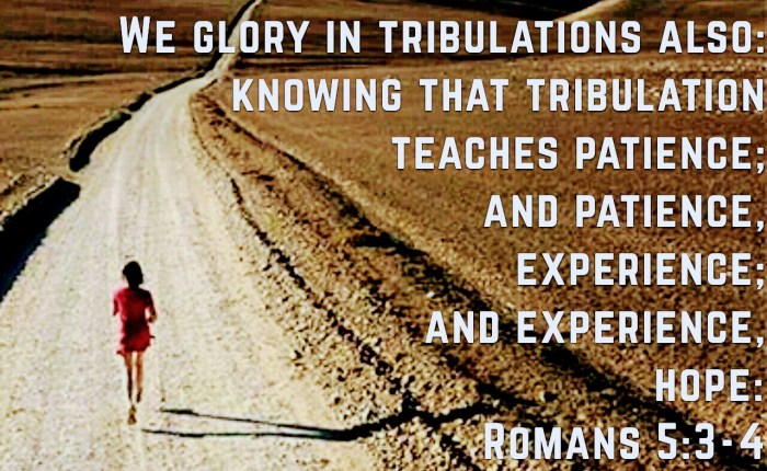 What is Love? : Part&nbsp;XVI